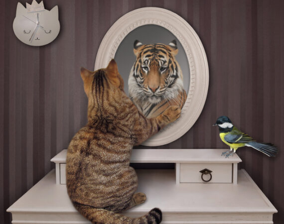 Divorce a Narcissist in Louisville - Proven Strategies for Success