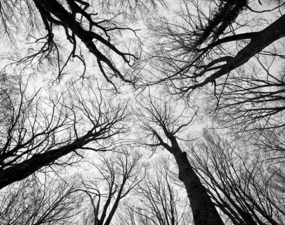 How Does a Personality Disorder Affect a Louisville Divorce